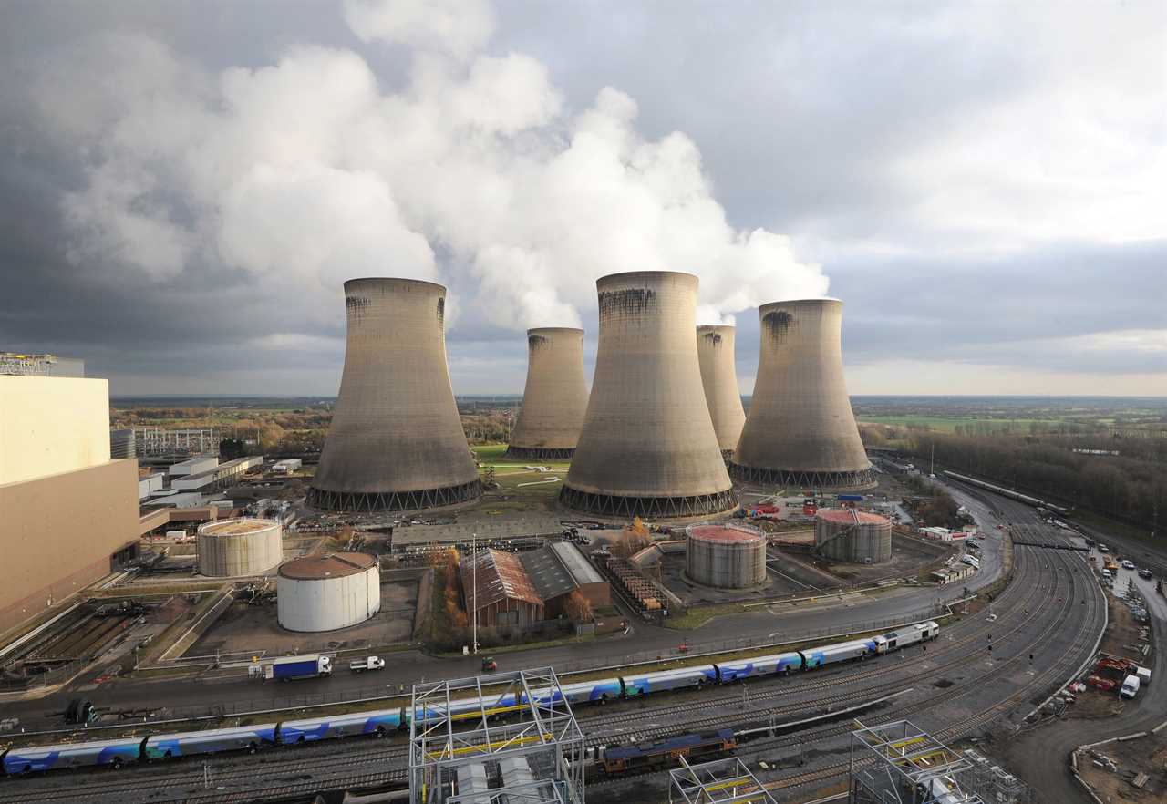 ‘Green’ power stations to cost £500 each, send energy bills soaring by £16 a year & may not clean up planet, report says