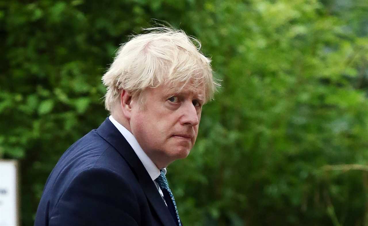 Dominic Cummings ‘set to allege Boris Johnson said “Covid was only killing 80-year-olds” in a bid to avoid lockdown’