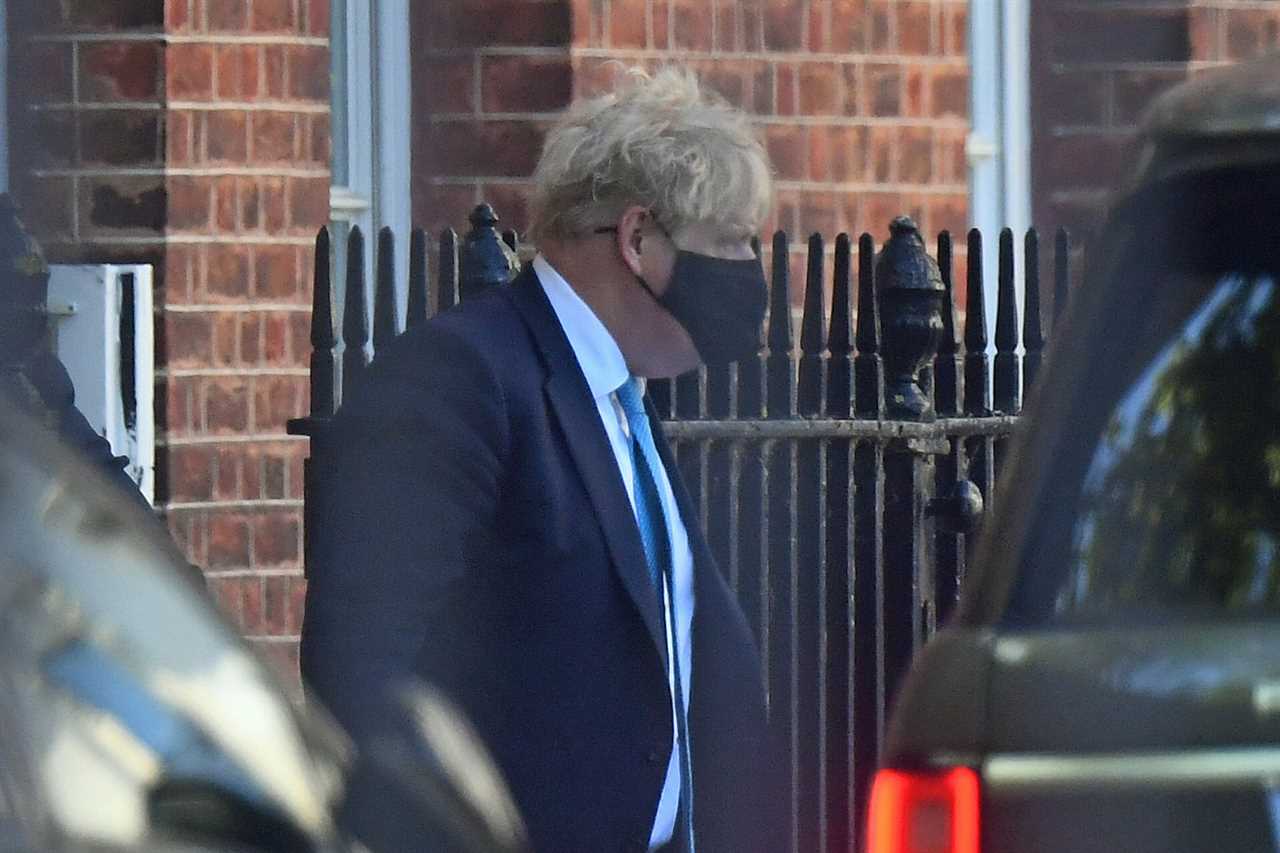 Boris Johnson lashes back at Dominic Cummings and says his bombshell claims don’t ‘bear any relation to reality’