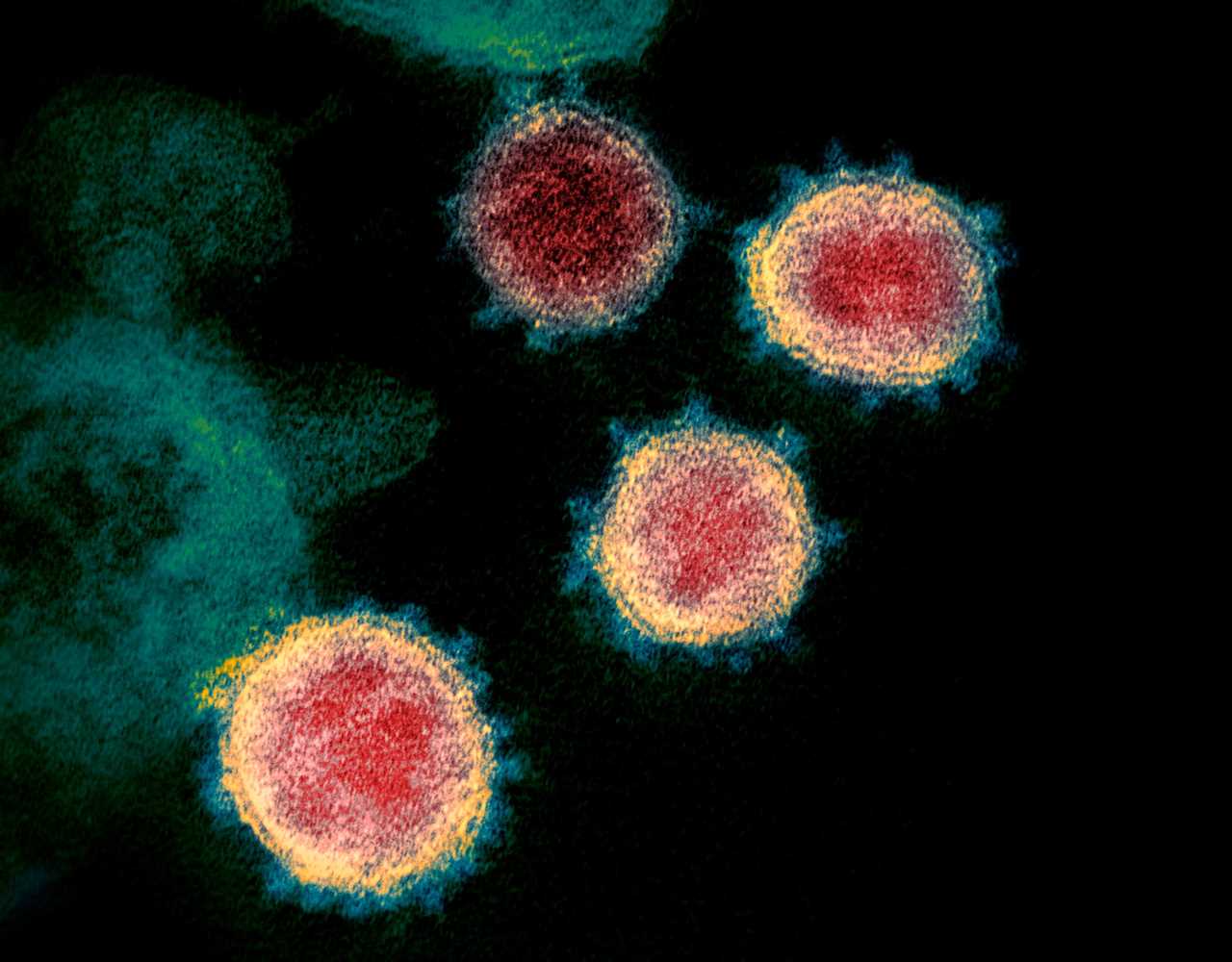 Vietnam detects hybrid of Indian and UK Covid variants as fears grow new strains will delay lockdown lifting