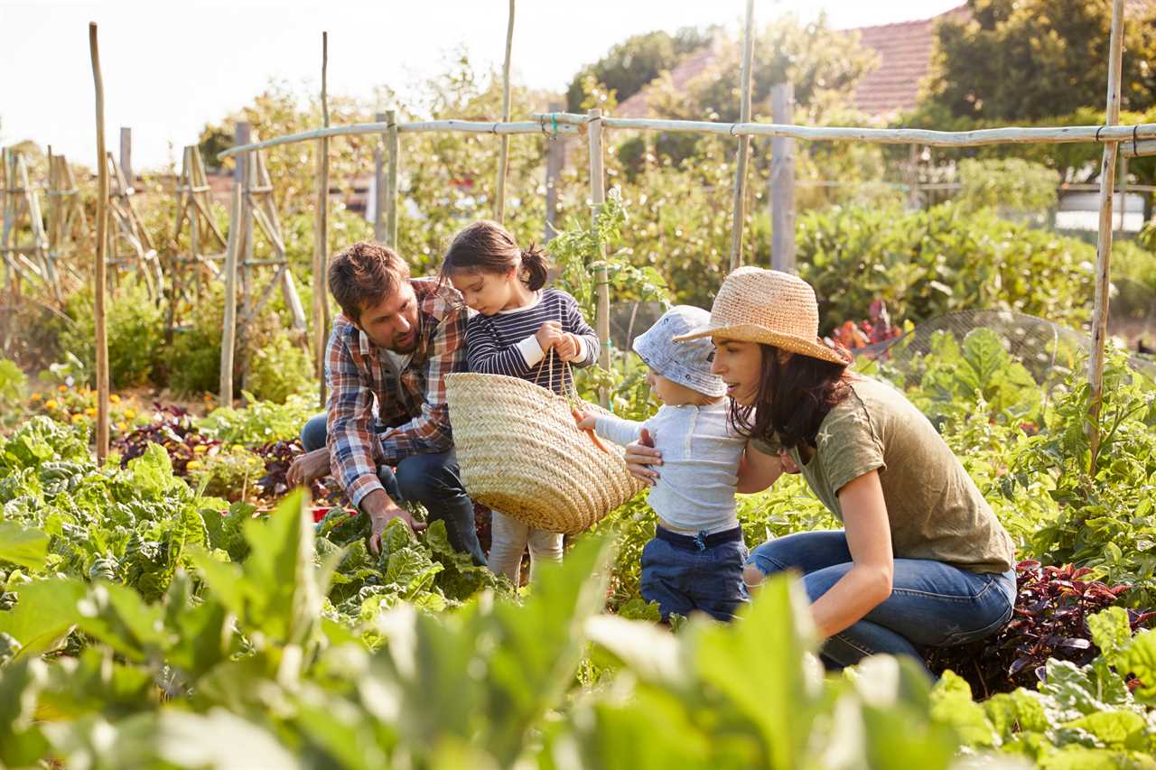 Brits should grow fruit & veg in war effort-style bid to tackle climate change