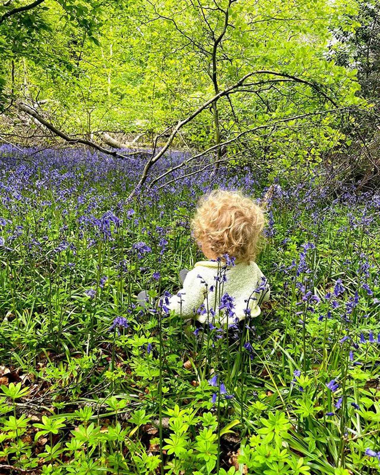Carrie uploaded a picture of Wilfred, 1, among a patch of bluebells