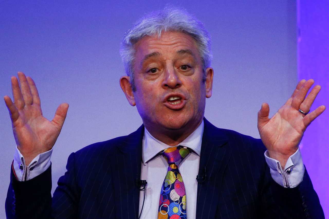 Ex-Commons speaker John Bercow claimed furlough despite firm’s £400k cash