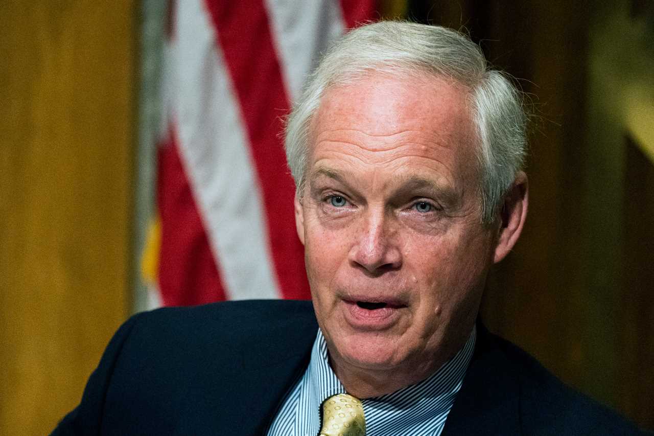 YouTube SUSPENDS GOP Sen Ron Johnson for touting hydroxychloroquine after study shows malaria drug CAN treat Covid