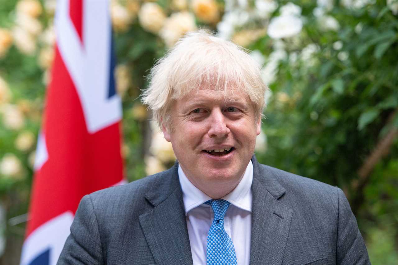 Dominic Cummings claims Boris Johnson will step down after the next election to ‘make money and have fun’
