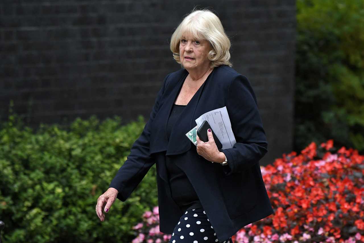 Conservative MP Cheryl Gillan arriving in Downing Street, back in 2019