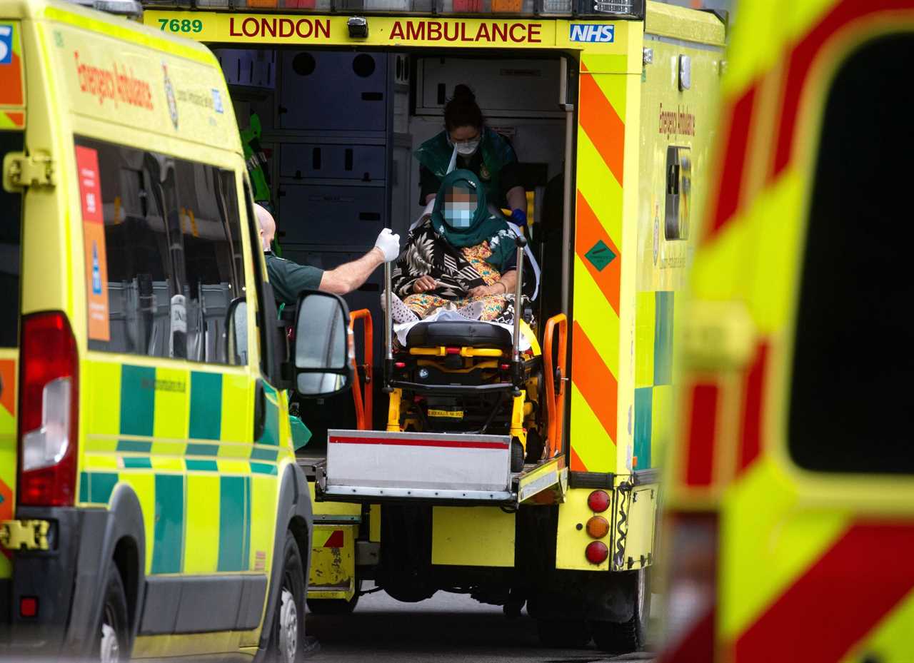 Schoolchildren should NOT be vaccinated against Covid until we have more data on risks, ministers warned