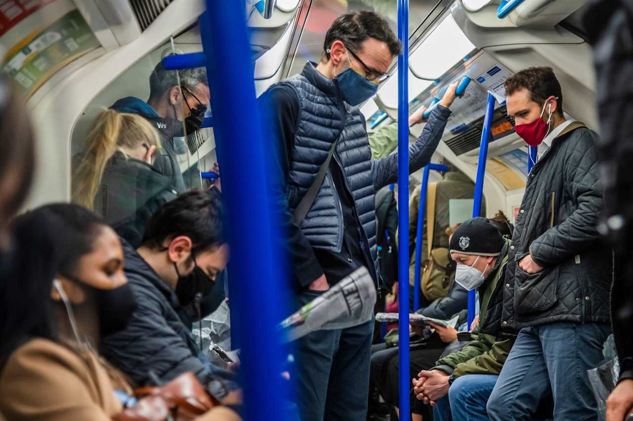 Millions could be given right to work from home FOREVER as flexible working to become new normal
