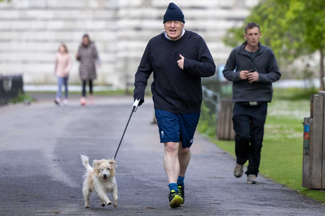 Bike thieves get tougher punishments than dog-nappers as MPs demand Boris go further in clampdown