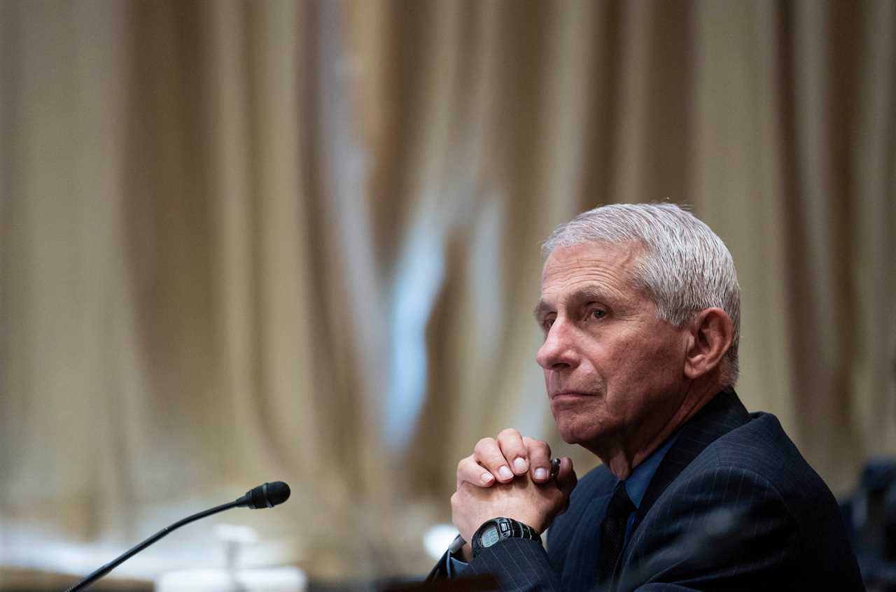 Fauci ‘caught lying to Congress,’ lawmaker claims as book reveals ‘doctor resisted canceling Wuhan lab-linked grant’