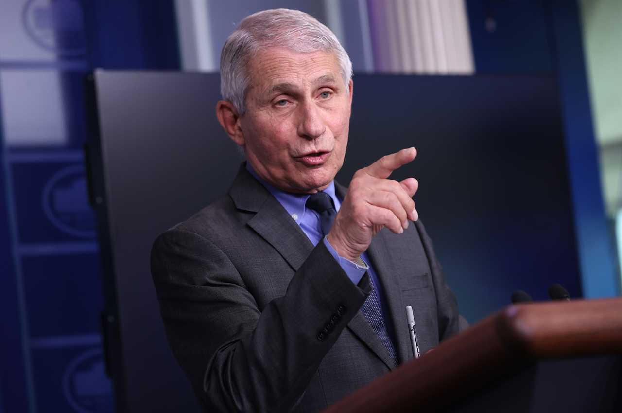 Fauci ‘caught lying to Congress,’ lawmaker claims as book reveals ‘doctor resisted canceling Wuhan lab-linked grant’