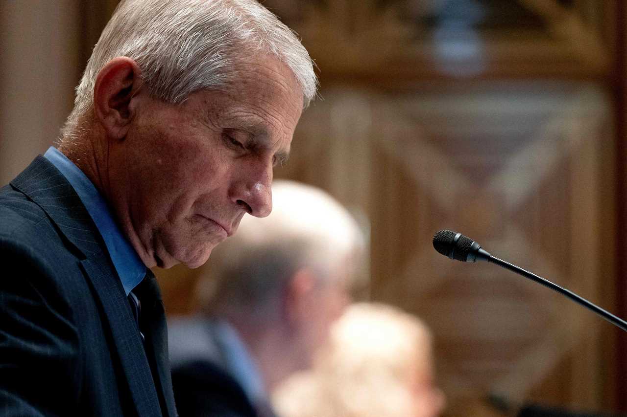 Fauci ‘caught lying to Congress,’ lawmaker claims as book reveals ‘doctor resisted canceling Wuhan lab-linked grant’