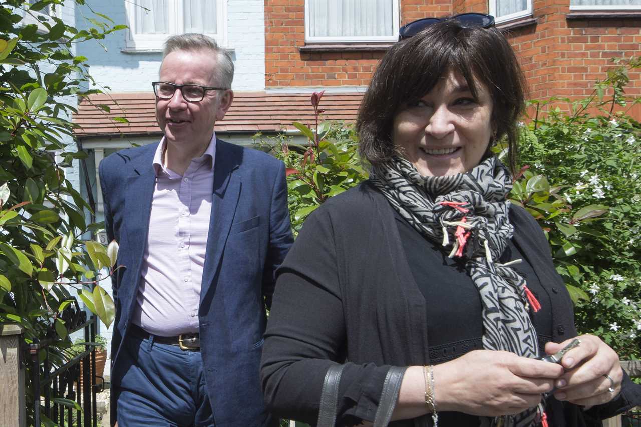 Michael Gove and wife Sarah Vine ‘finalising divorce’ after ‘drifting apart’ following 20 years of marriage