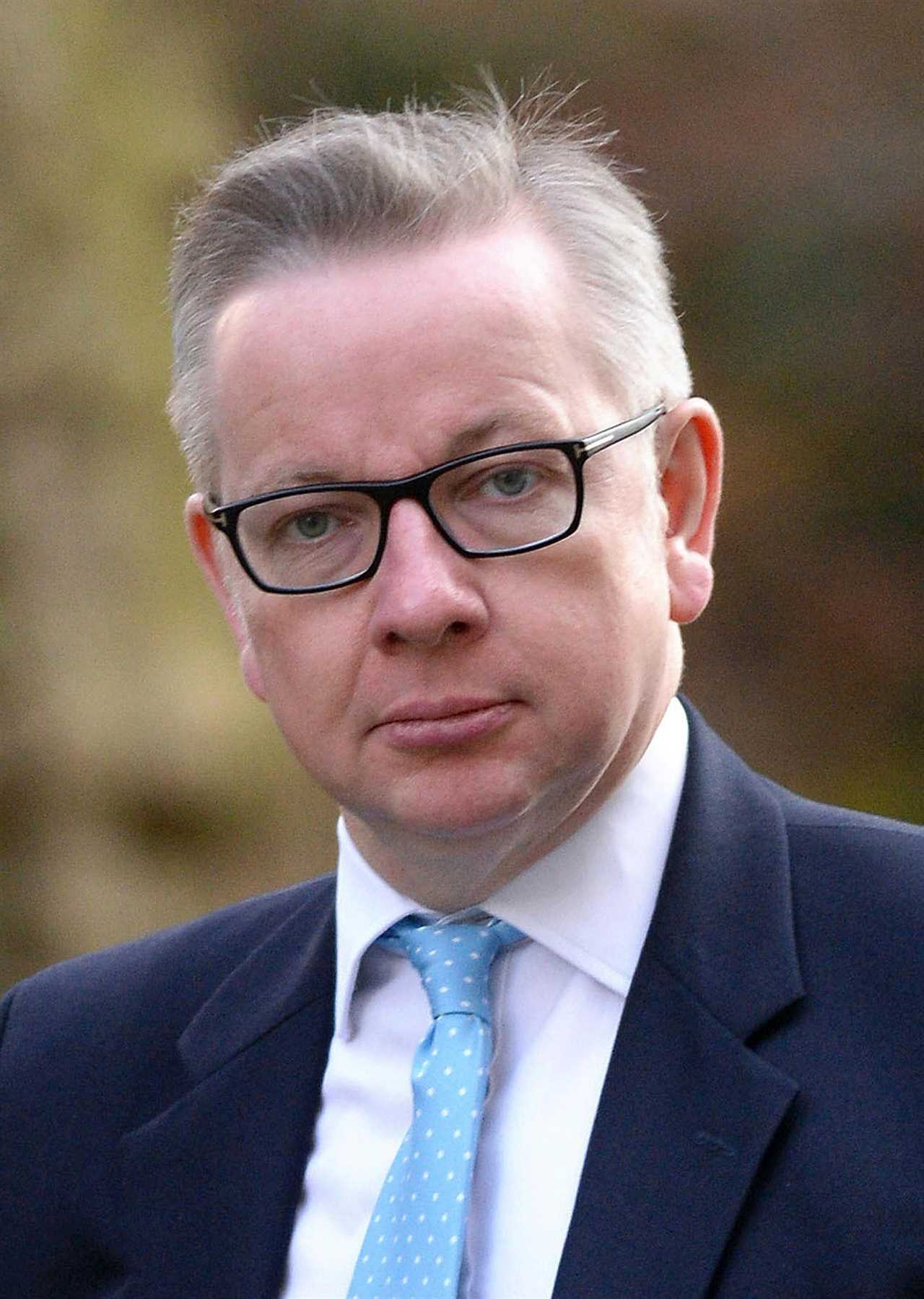 Who is Michael Gove?