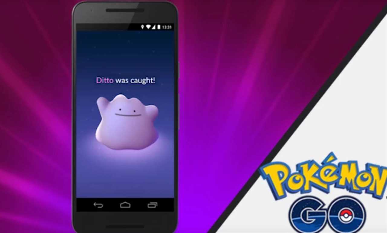 How to catch Ditto in Pokemon Go?