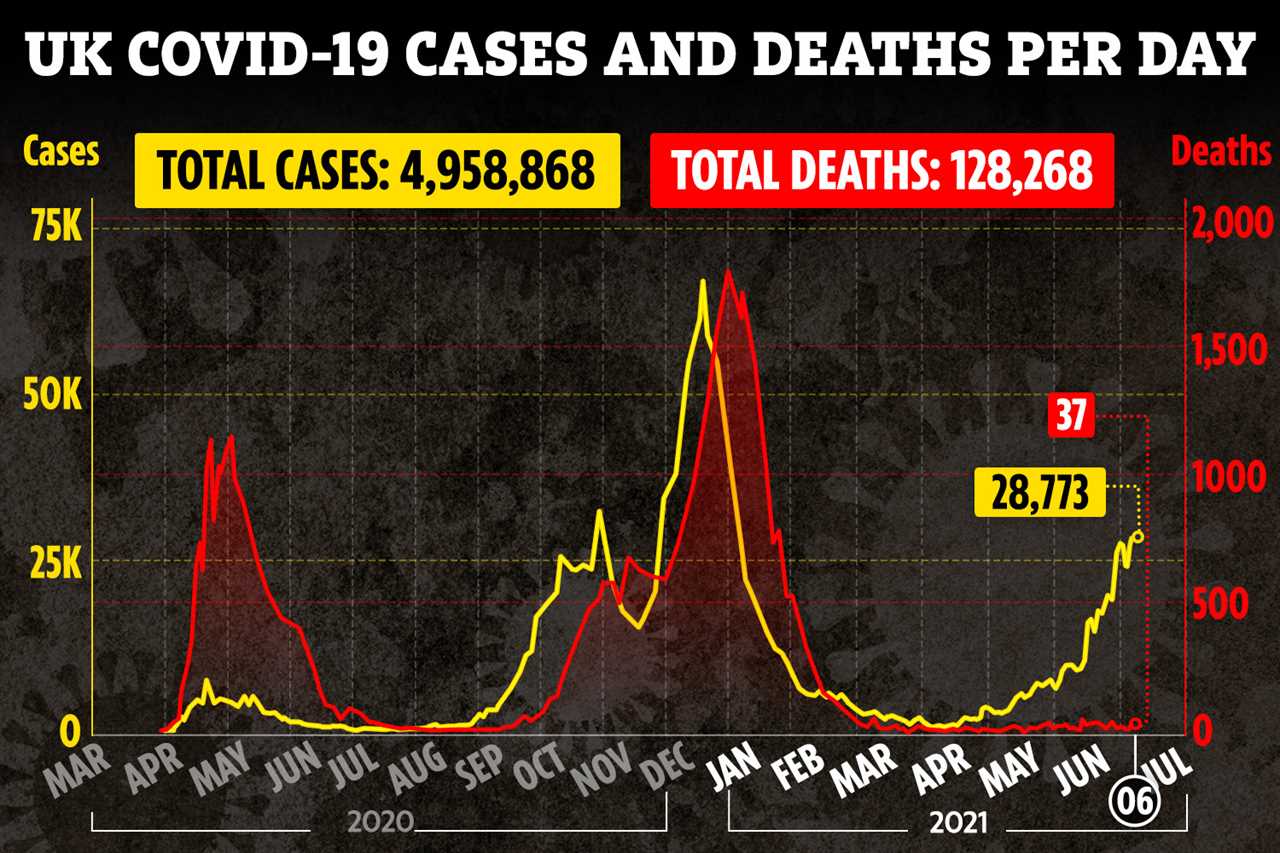 Covid cases ‘will start dropping in mid-August because virus will run out of people to infect’