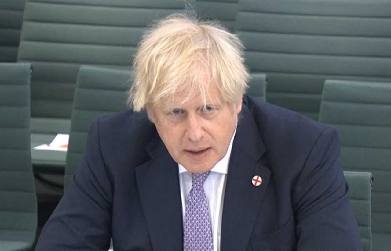 Boris Johnson warned not to hit struggling Sun readers with expensive plans to go green