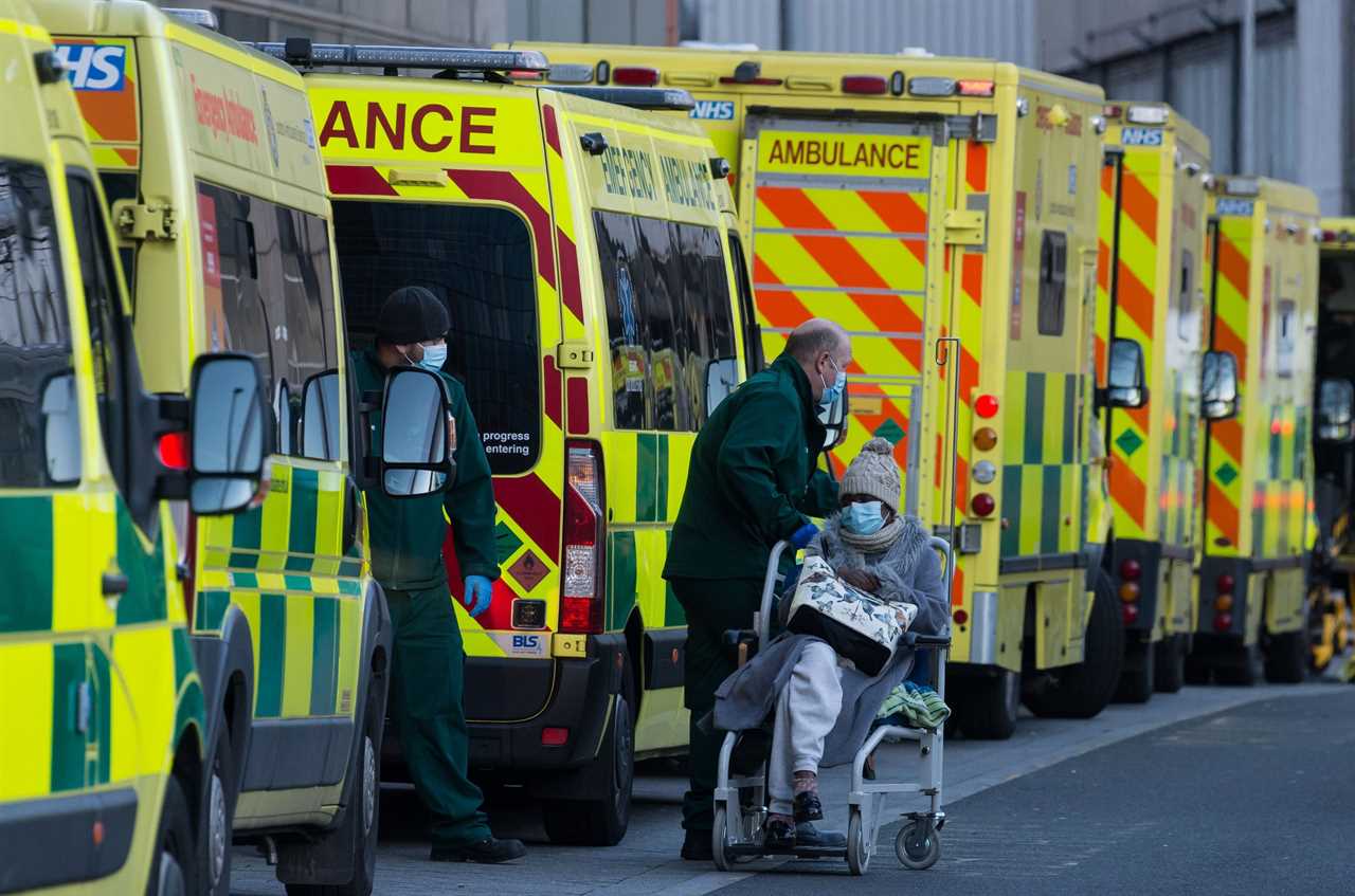 Fourth Covid wave and up to 60,000 flu deaths could leave NHS facing ‘worst winter EVER’, experts warn