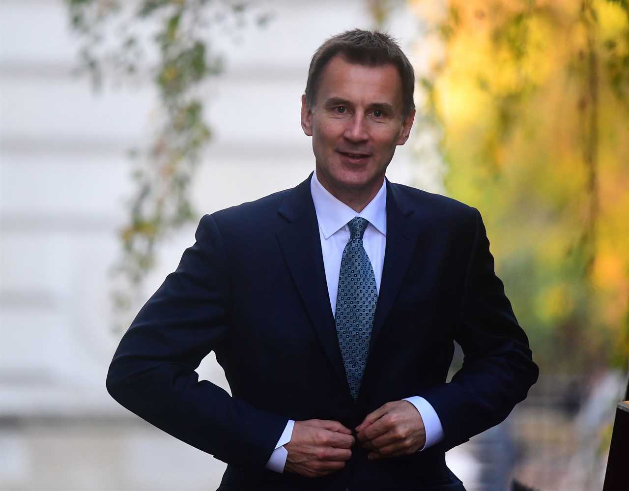 Lockdown restrictions WILL have to be reimposed as new daily peak set to be WORSE than 1st wave, warns Jeremy Hunt