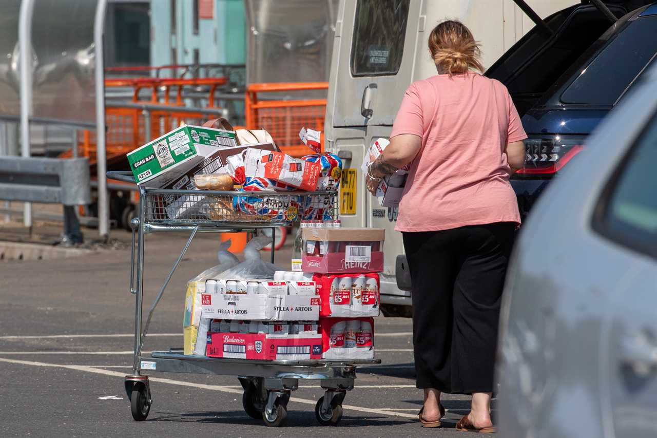 More Pingdemic fears as trains and buses could be cancelled and bin collections scrapped as NHS app cripples Britain