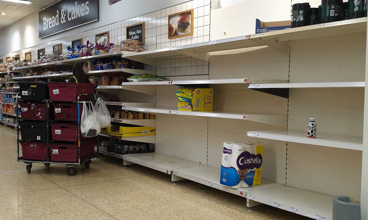 Pingdemic ‘will leave supermarket shelves empty again in WEEKS’ unless staff crisis is solved, Government warned