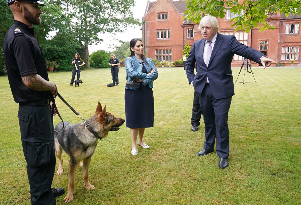 Boris Johnson promises ‘hi-vis chain gangs’ for criminals to do community service as he backs ‘loving’ stop & search