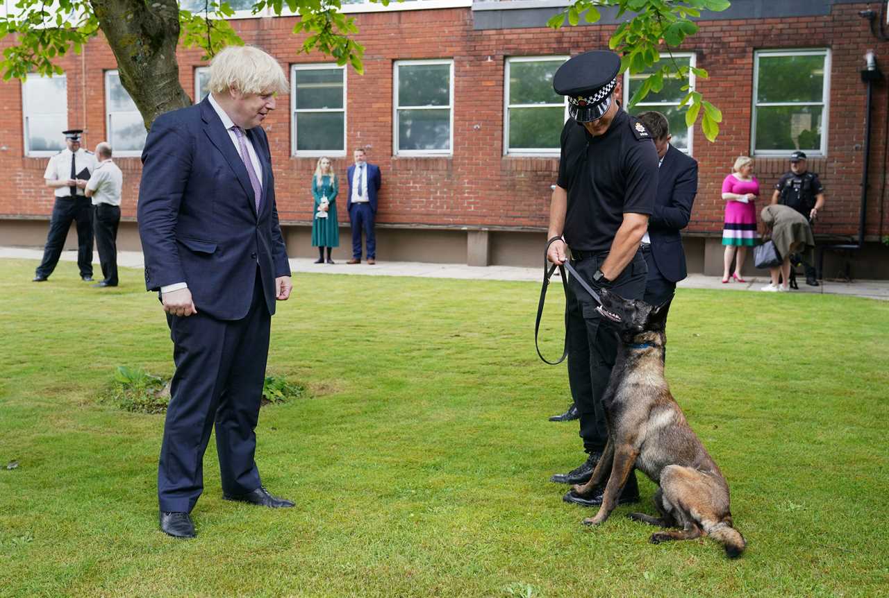 Boris Johnson promises ‘hi-vis chain gangs’ for criminals to do community service as he backs ‘loving’ stop & search