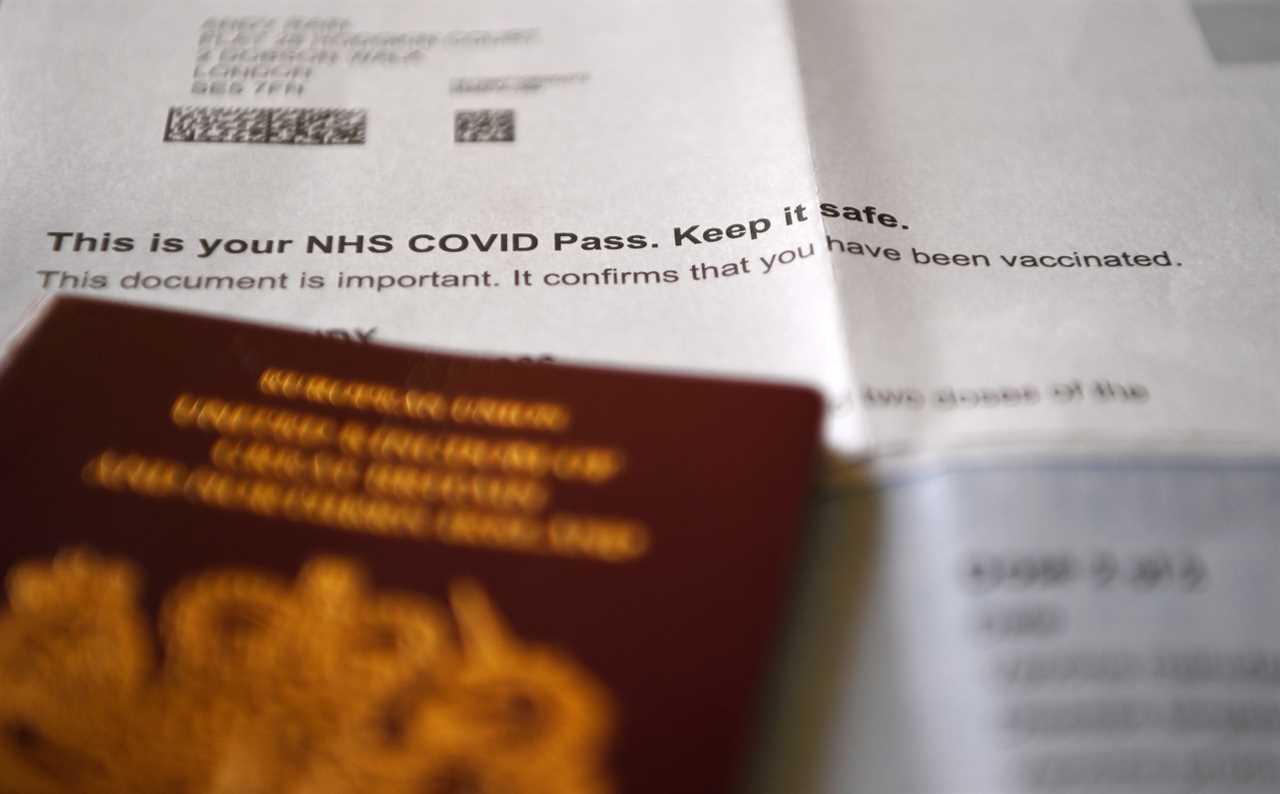 Vaccine passports could be introduced for pubs to combat new Covid variants, minister says