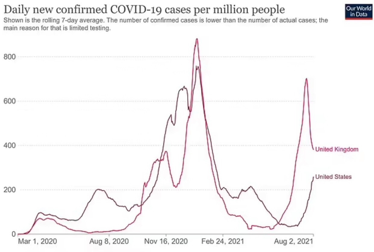 Dr. Fauci warns Delta surge will send Covid cases soaring to more than 200k a DAY before plummeting again – like in UK