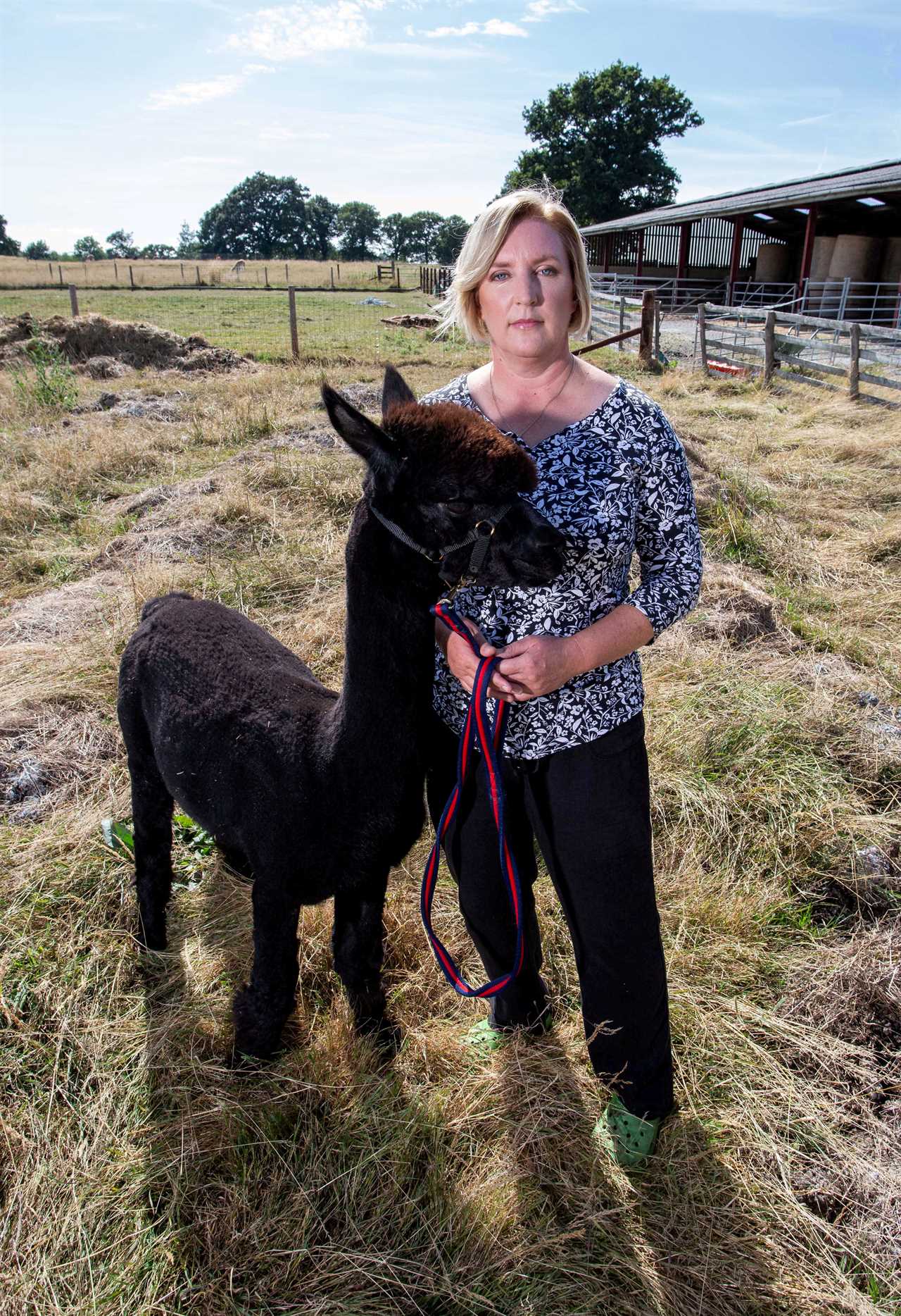 Geronimo had tested positive for bovine TB but his owner Helen Macdonald said it is a result of dodgy tests