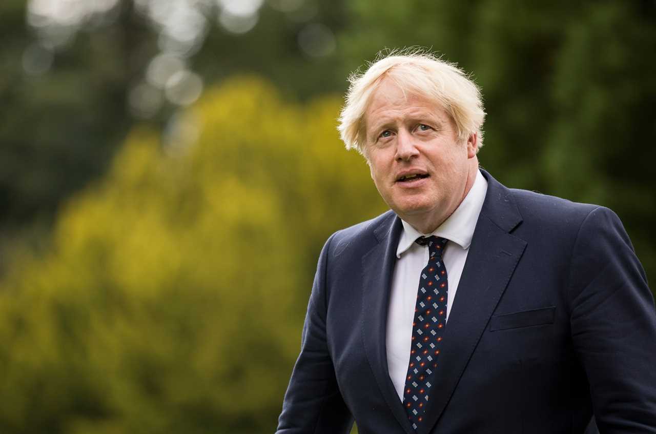 Dominic Cummings claims Boris Johnson once offered him a peerage