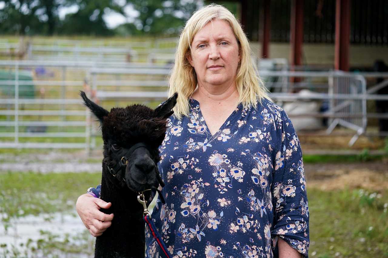 Boris Johnson condemns Geronimo the alpaca to death as ‘we need to move ahead’ & NO plans to test him a final time