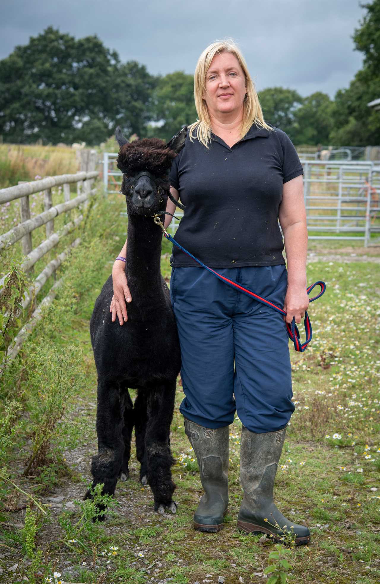 Boris Johnson condemns Geronimo the alpaca to death as ‘we need to move ahead’ & NO plans to test him a final time