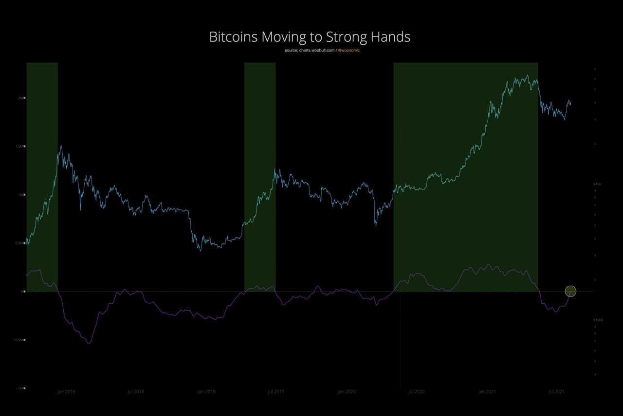 Bitcoin could be on the verge of a big breakout at $42K, hodler activity suggests 