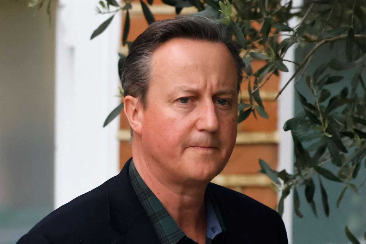 David Cameron netted £7.5MILLION from Greensill Capital before firm collapsed, papers reveal