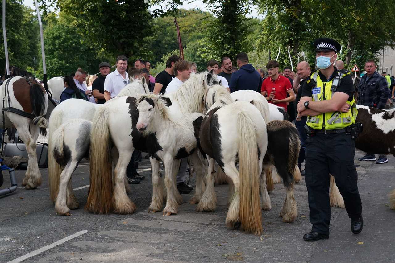 Armed police sent to Appleby horse fair over ‘serious violence’ fears at annual traveller festival