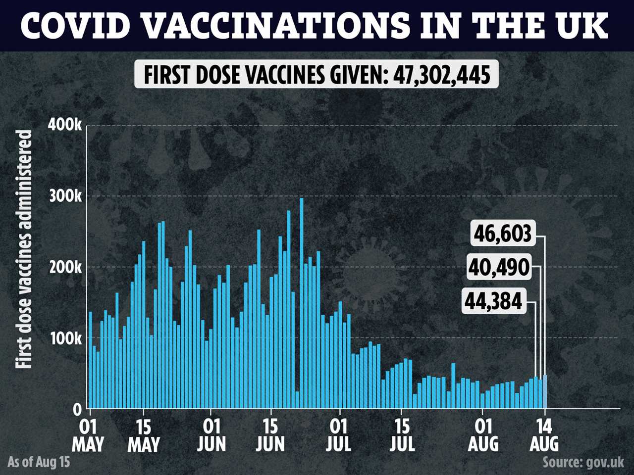 Boosters vital for vulnerable as vaccine immunity slashed in half after six months, study finds