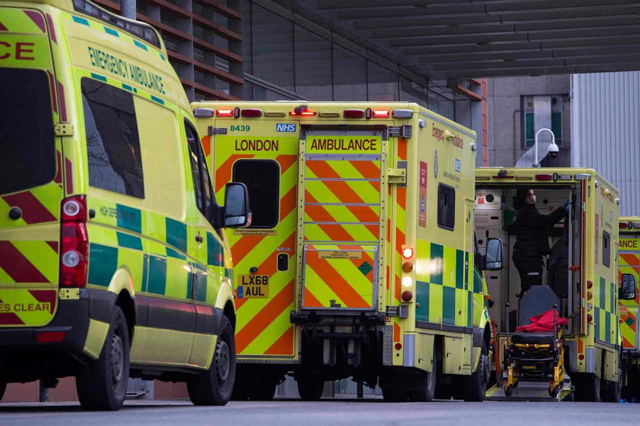 High Covid cases and deaths ‘very worrying’ given it’s not even winter yet, warns top scientist