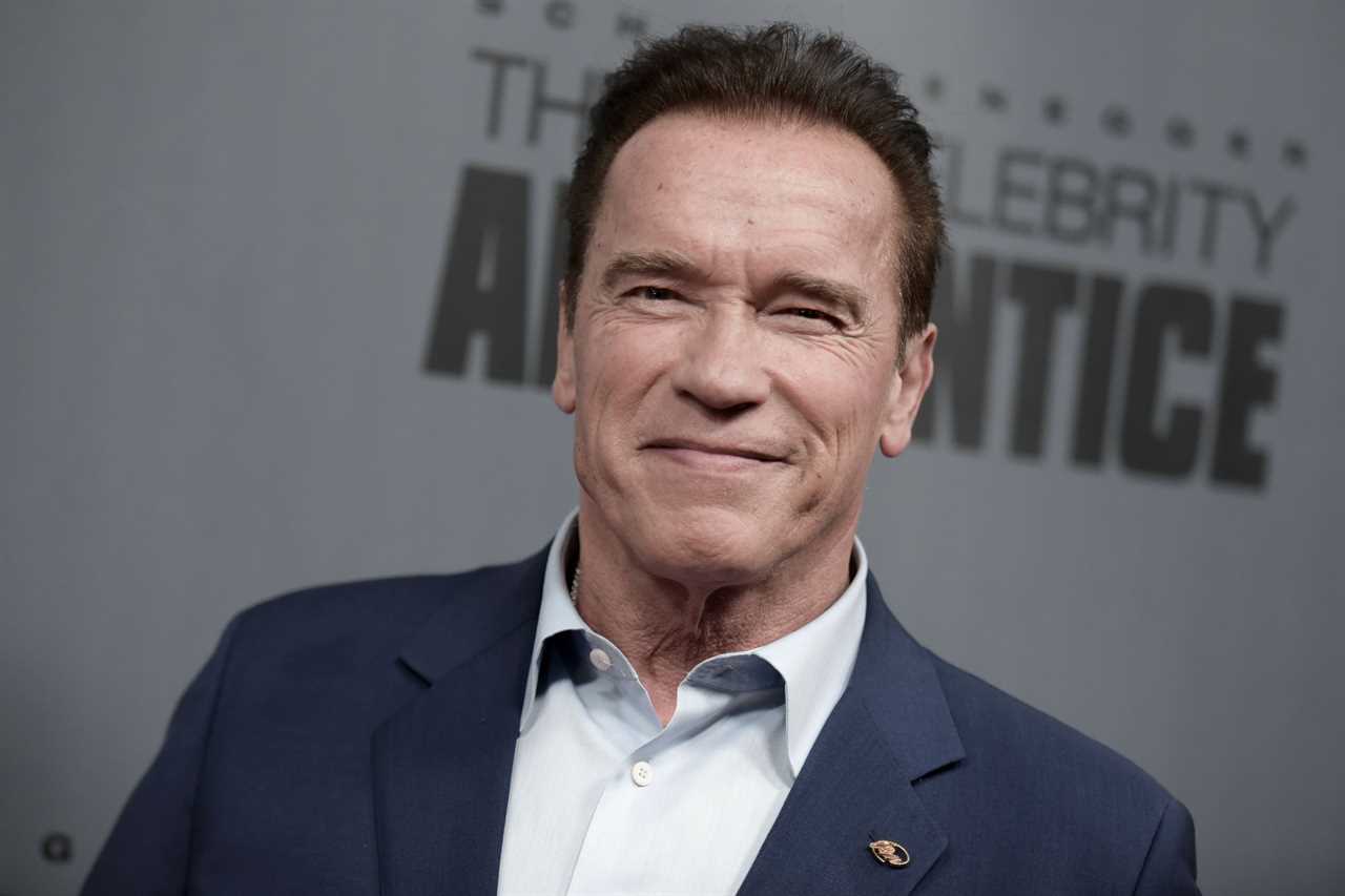 What did Arnold Schwarzenegger say?