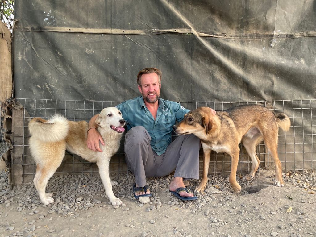 Ex-Royal Marine racing against time to save 173 rescue pets and 68 Afghan refugees facing death in Kabul