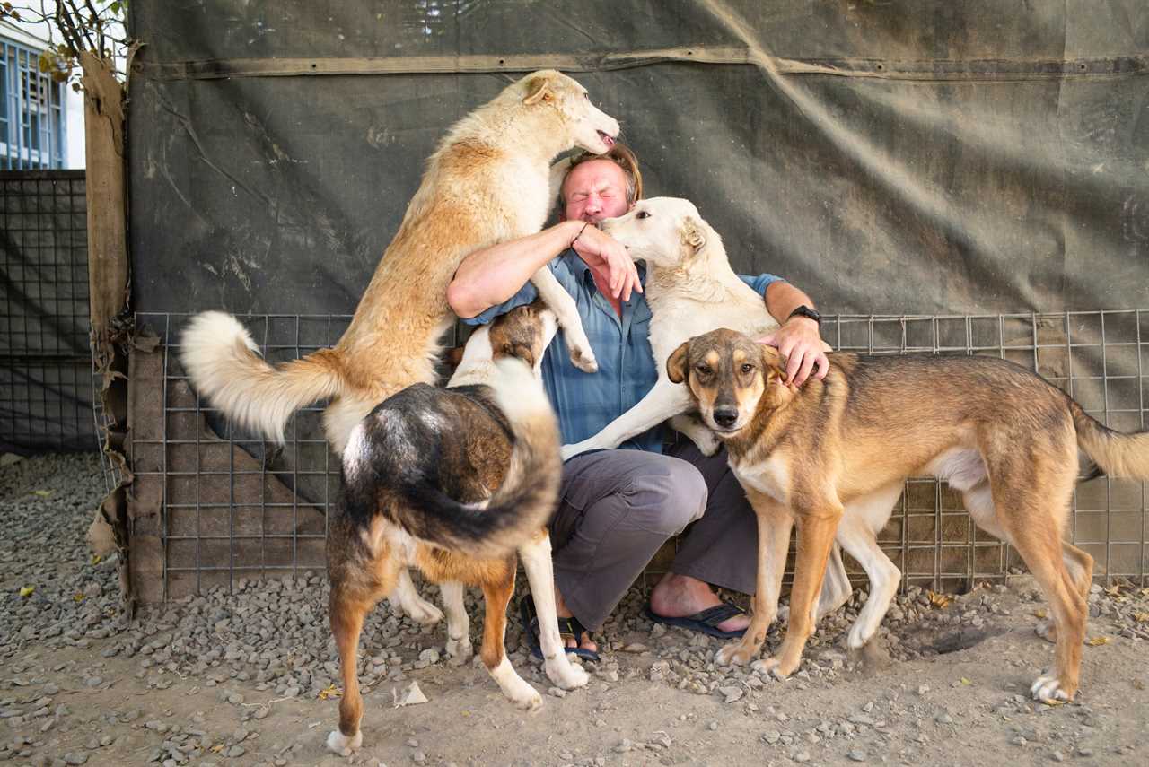 Former Royal Marine Paul 'Pen' Farthing is racing against time to save 173 rescue cats and dogs plus their carers facing death in Afghanistan