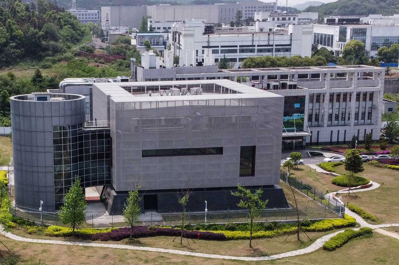 Covid was NOT developed as a bio weapon, US intelligence says in report as experts are split on lab leak theory