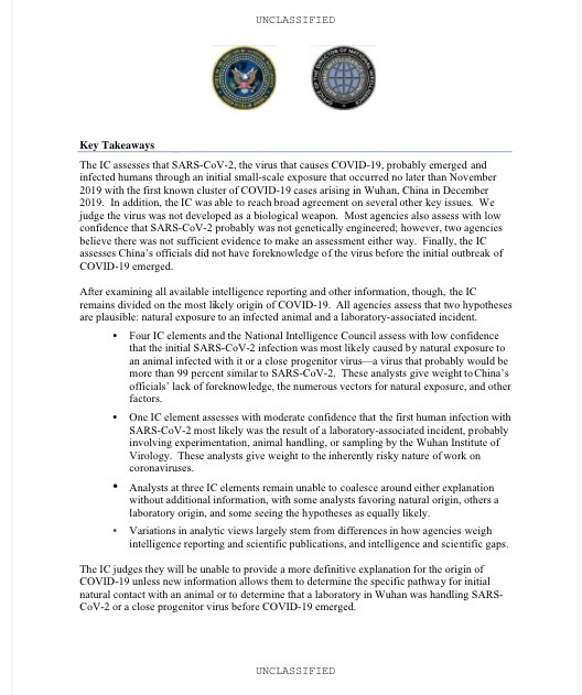 Covid was NOT developed as a bio weapon, US intelligence says in report as experts are split on lab leak theory