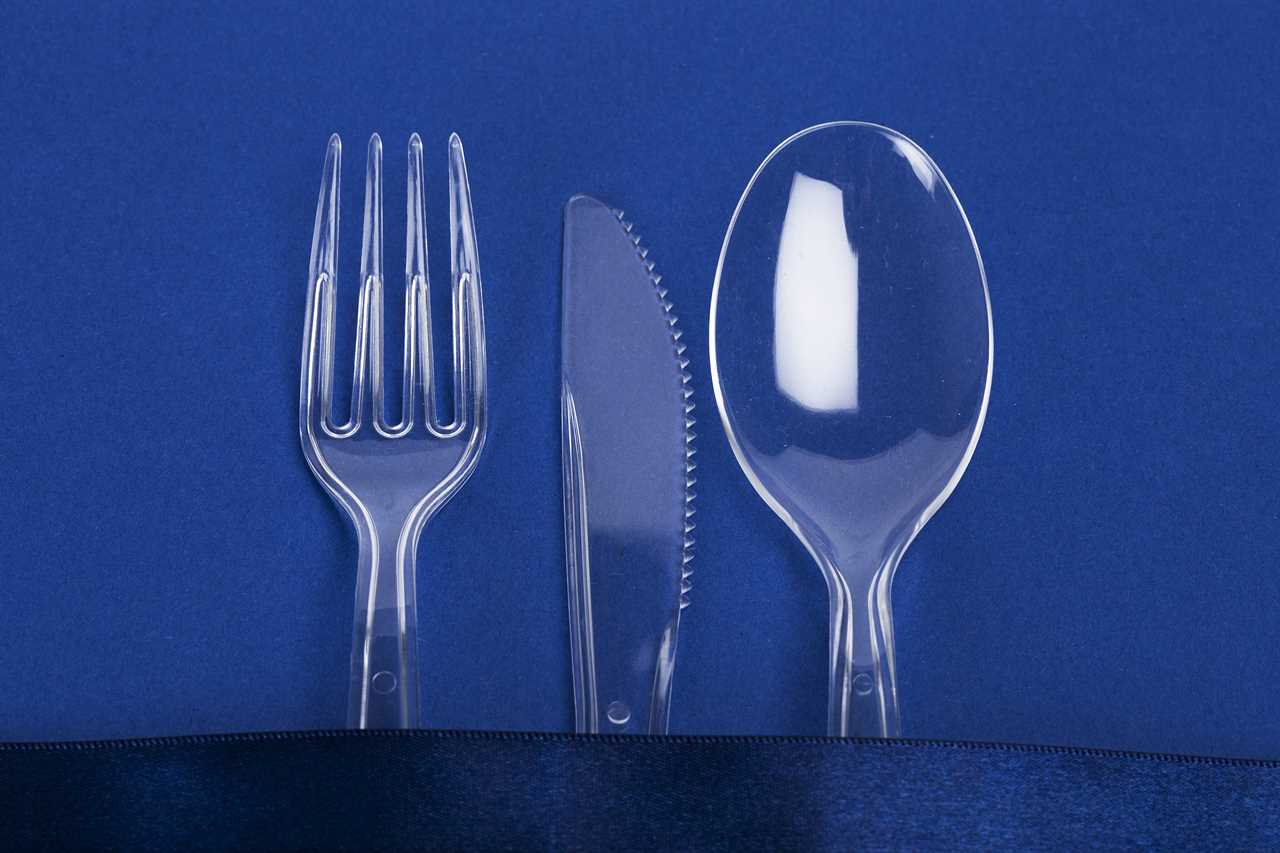Plastic picnic plates, knives and forks face a ban in new eco-crackdown