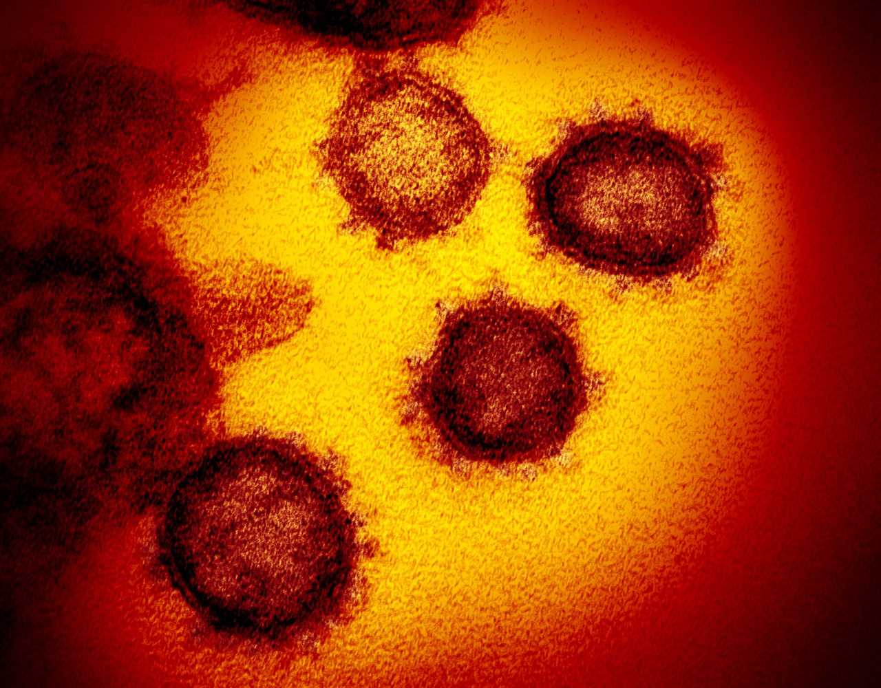 Covid ‘mu’ mutation is in nearly EVERY US state already as WHO warns latest ‘variant of interest’ may evade vaccines