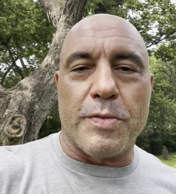 Joe Rogan reveals he has Covid and has taken cocktail of drugs to battle symptoms after suffering ‘fever and sweats’
