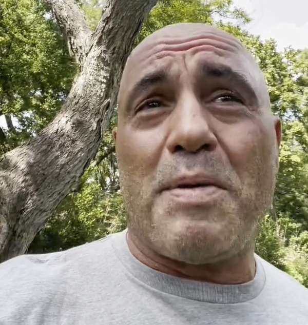 Joe Rogan reveals he has Covid and has taken cocktail of drugs to battle symptoms after suffering ‘fever and sweats’