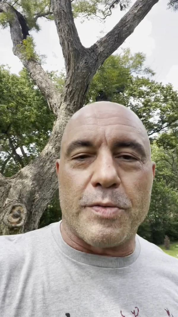 Joe Rogan tests NEGATIVE for Covid days after revealing he’d caught virus and took controversial horse med ivermectin