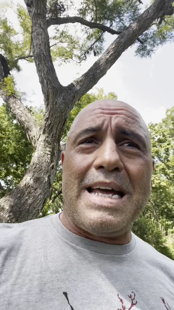 Joe Rogan tests NEGATIVE for Covid days after revealing he’d caught virus and took controversial horse med ivermectin