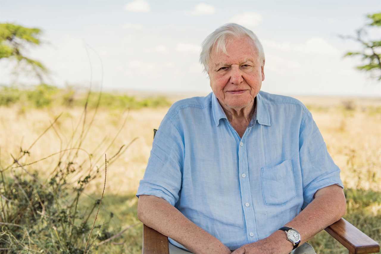 Sir David Attenborough warns Boris Johnson eco-policies should not be costly if he wants people to back them